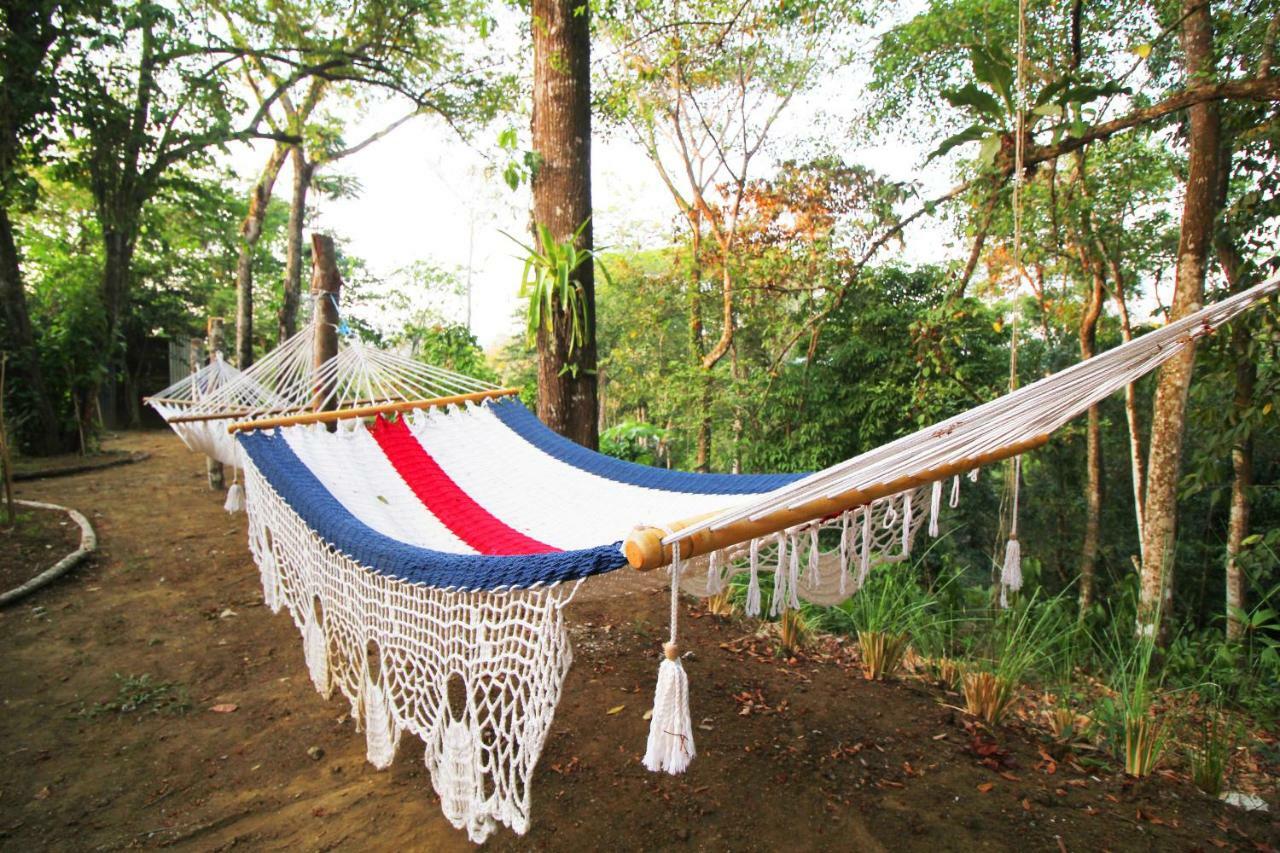 Teva Hotel & Jungle Reserve Manuel Antonio Exteriör bild