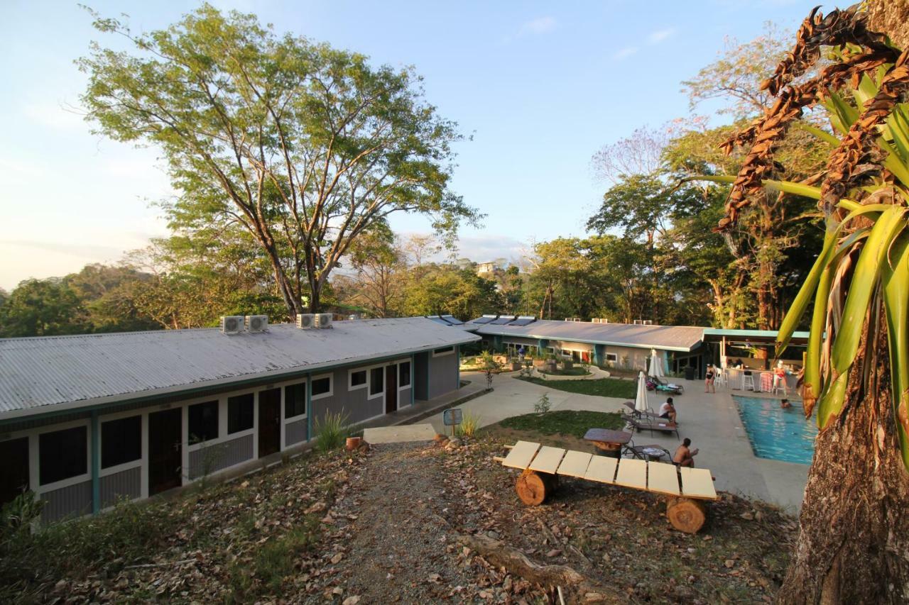Teva Hotel & Jungle Reserve Manuel Antonio Exteriör bild